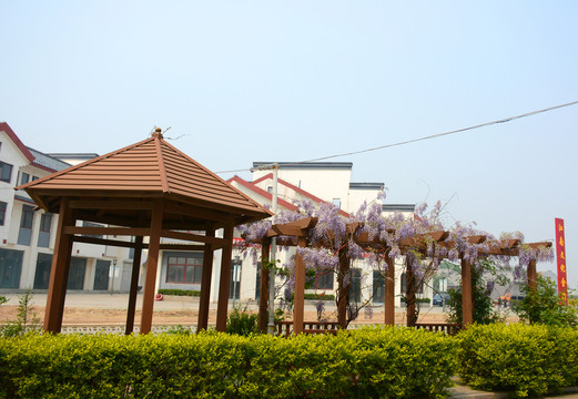 花架