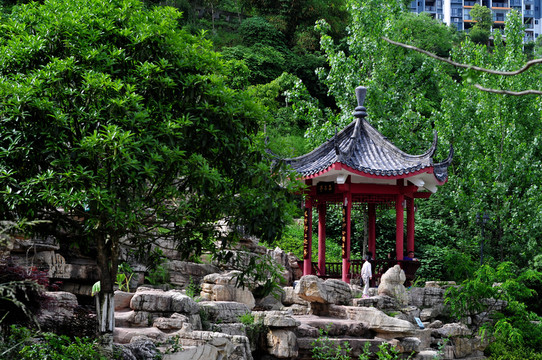 公園掠影
