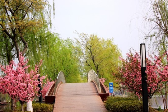 南京龍池湖風(fēng)光