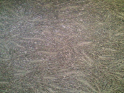 布紋理