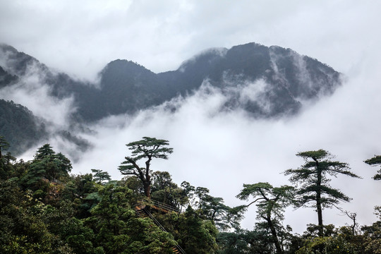 湖南莽山將軍寨（鬼子寨）