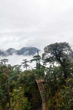 湖南莽山將軍寨（鬼子寨）