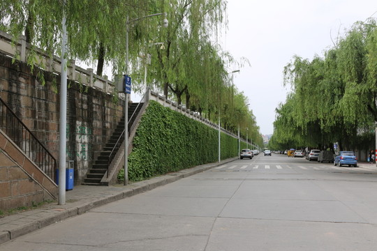河堤岸邊