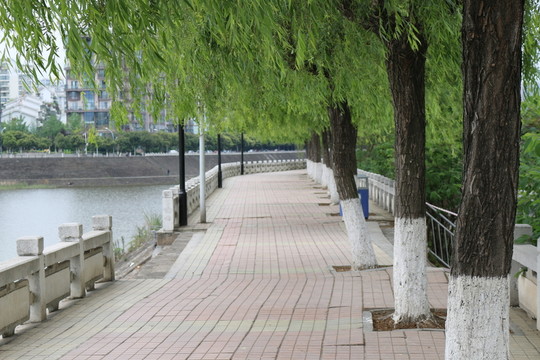 河堤