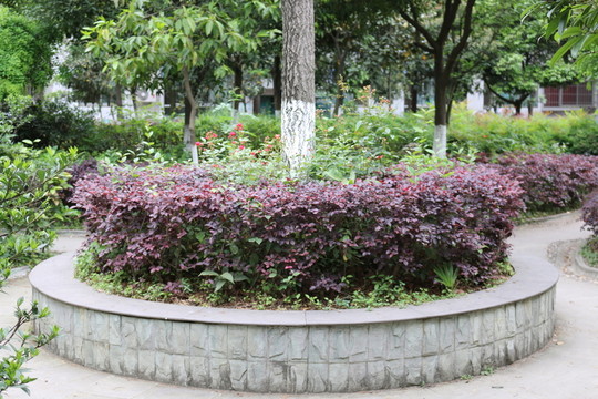 花壇