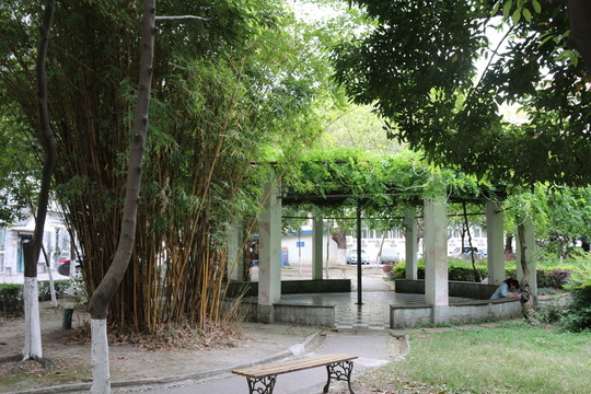 花園