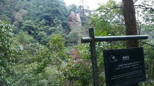 安徽黃山水墨霧景