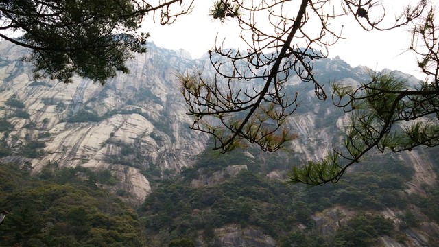 安徽黃山水墨霧景