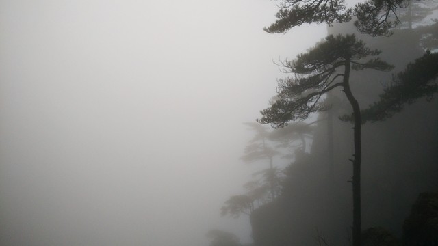 安徽黃山水墨霧景