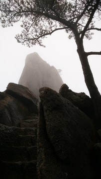 安徽黃山水墨霧景