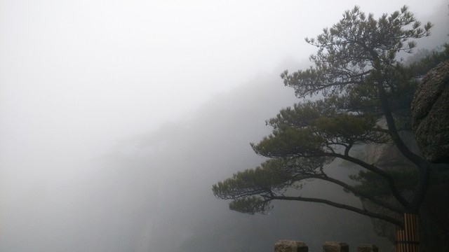 安徽黃山水墨霧景