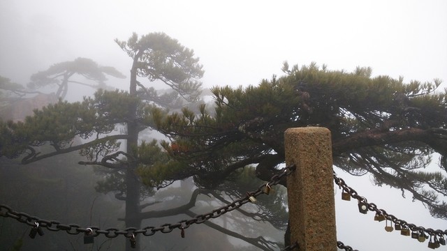 安徽黃山水墨霧景