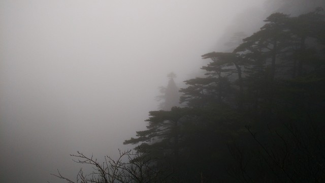 安徽黃山水墨霧景