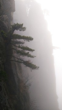 安徽黃山水墨霧景