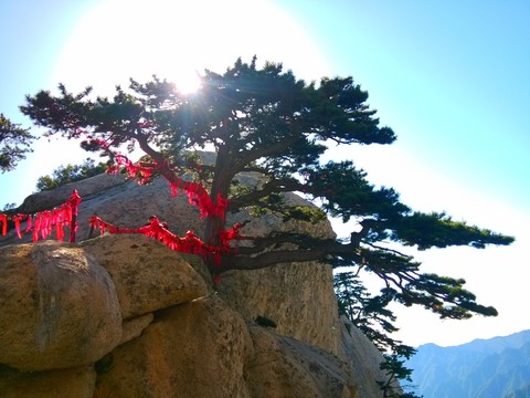 陜西華山