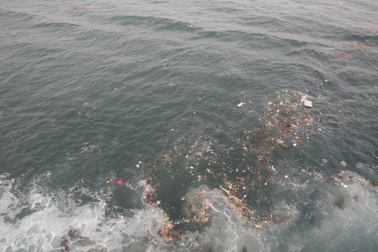 海面 垃圾