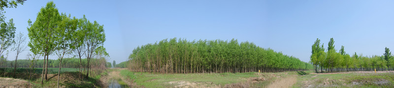寬幅田野