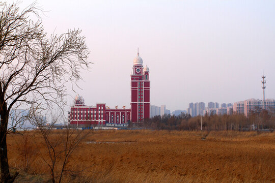 教堂 濕地 蘆葦 樹(shù)木
