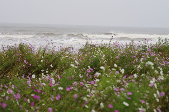 海邊