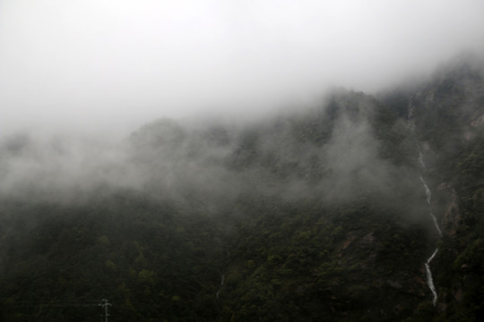 山中霧