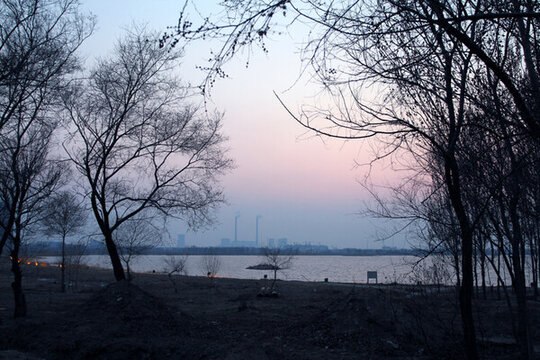 濕地 蘆葦 湖泊 風景 水