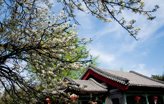 園林小景