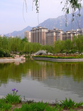住宅樓