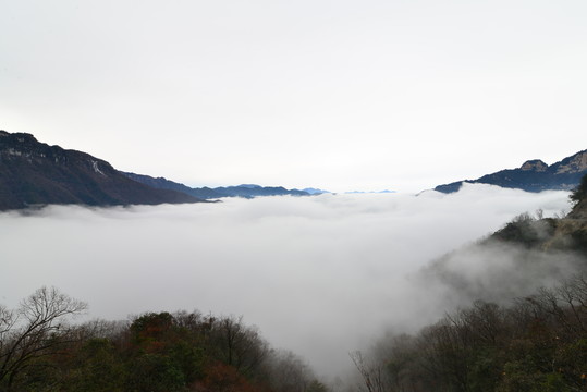 高山云海
