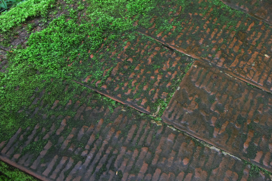 長滿苔蘚的石板路