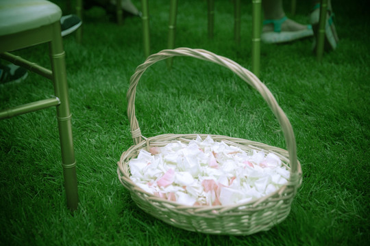 婚禮花瓣藍(lán)