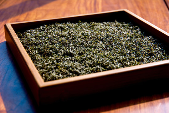 綠茶