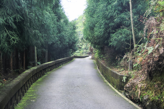 水泥路