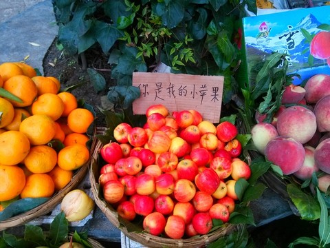 云南麗江