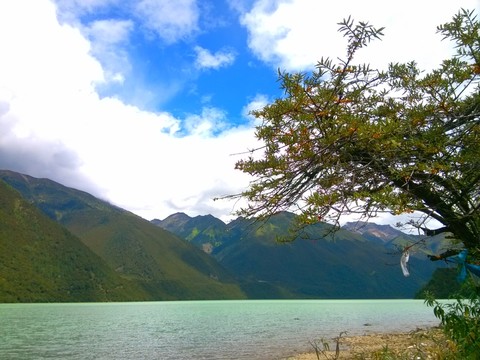 西藏林芝巴松錯