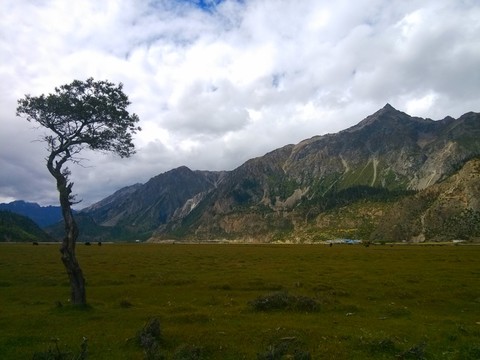 西藏然烏湖然烏鎮(zhèn)