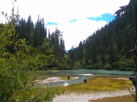 西藏然烏湖然烏鎮(zhèn)