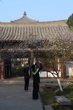 青龍寺