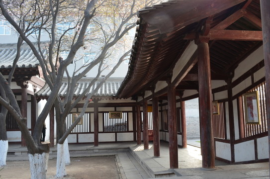 青龍寺櫻花開放時(shí)