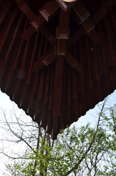 青龍寺