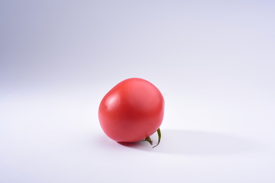 西紅柿 番茄