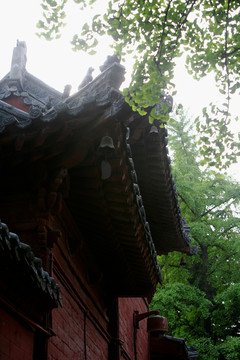 白馬寺 古建筑 洛陽(yáng)佛教寺廟