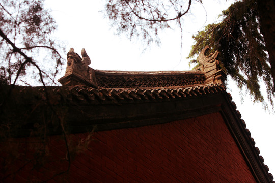 白馬寺 古建筑 洛陽佛教寺廟