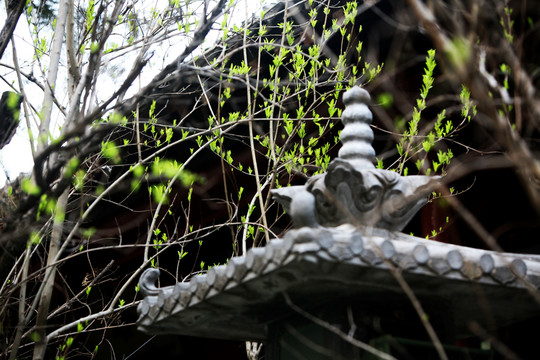 白馬寺 古建筑 洛陽佛教寺廟