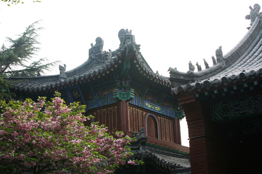 屋檐 房脊 建筑 格局 屋頂
