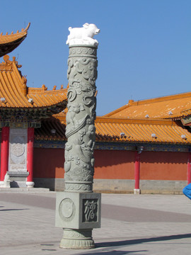 亥豬