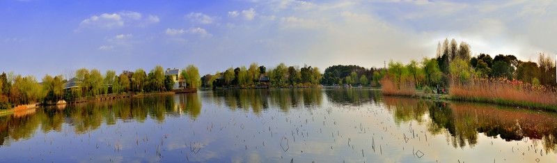顧村公園