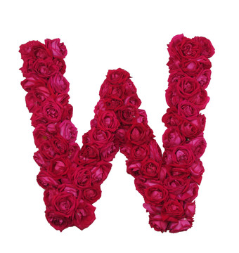 玫瑰花W字母