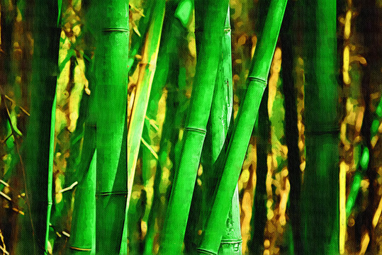 風(fēng)景畫 竹子 TIF無分層