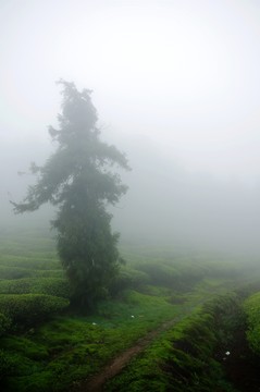 余姚 四明山