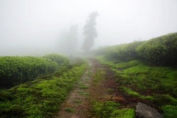 余姚 四明山